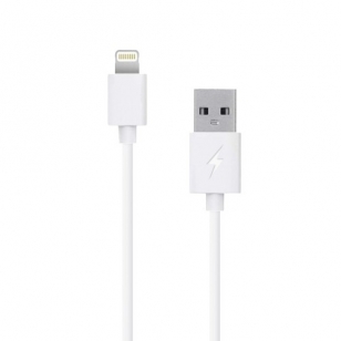 iPad oplader compact Lightning 2 meter wit