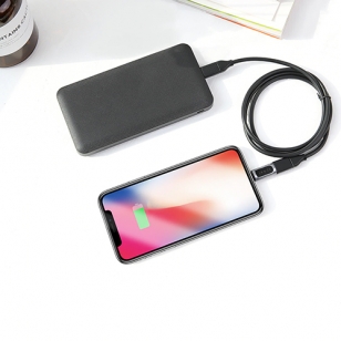 Rock micro USB naar Lightning adapter