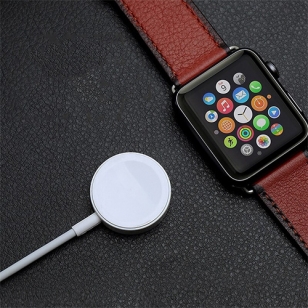 Magnetische USB-C oplaadkabel voor Apple Watch